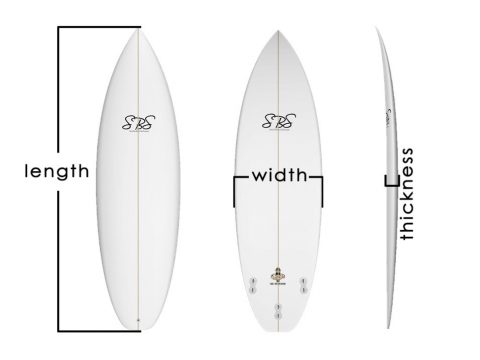 Beginners Guide To Buying A Surfboard, Fish Surfboard For Beginner ...